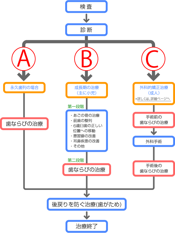 画像｜矯正治療フローチャート